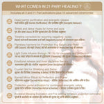 Load image into Gallery viewer, Shungite | Numerology No. 8 | For Discipline & Success