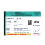 Load image into Gallery viewer, Spider Web Jasper - For Business Networking