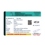 Spider Web Jasper - For Business Networking