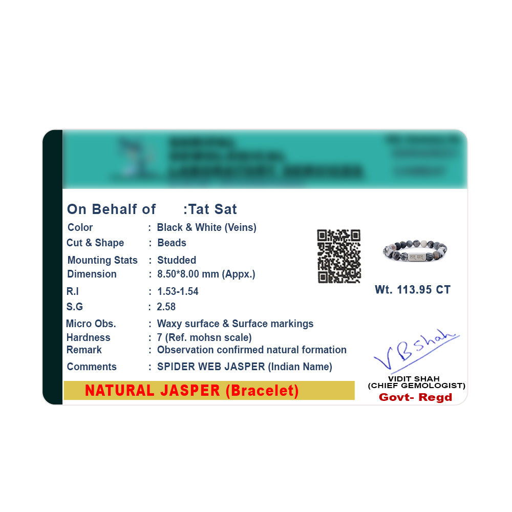 Spider Web Jasper - For Business Networking