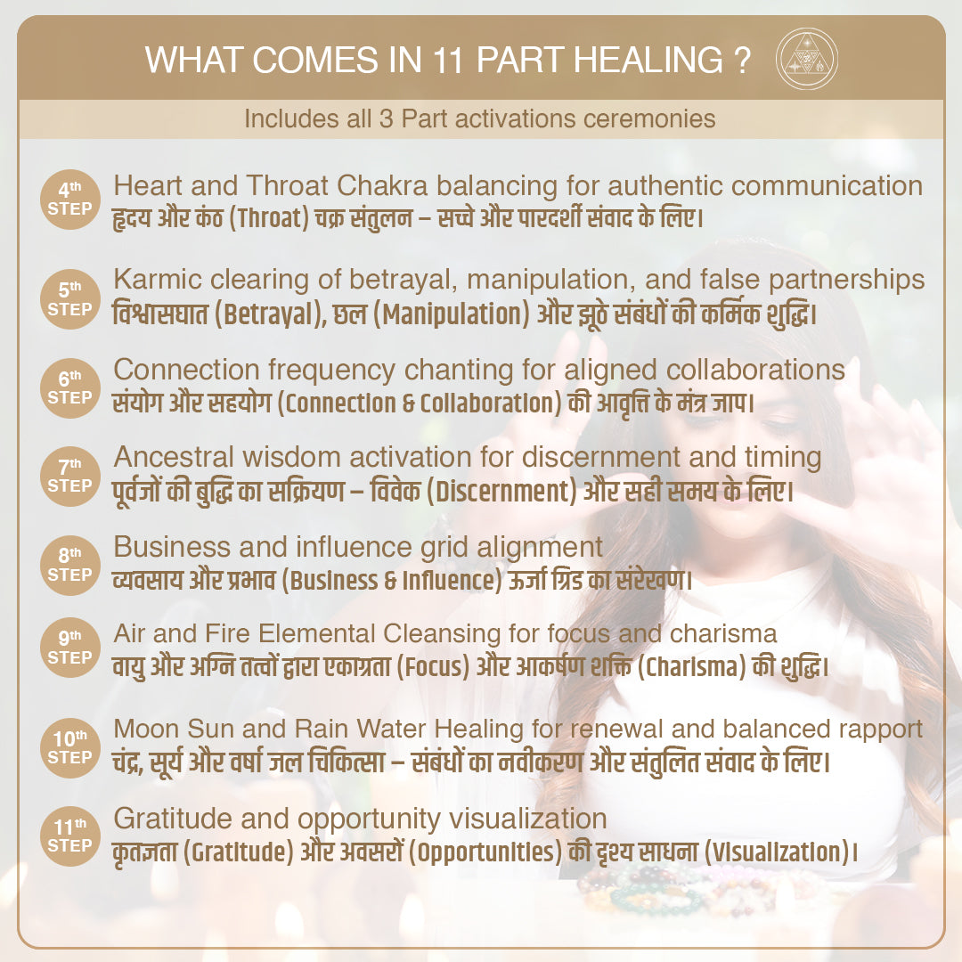 Spider Web Jasper - For Business Networking