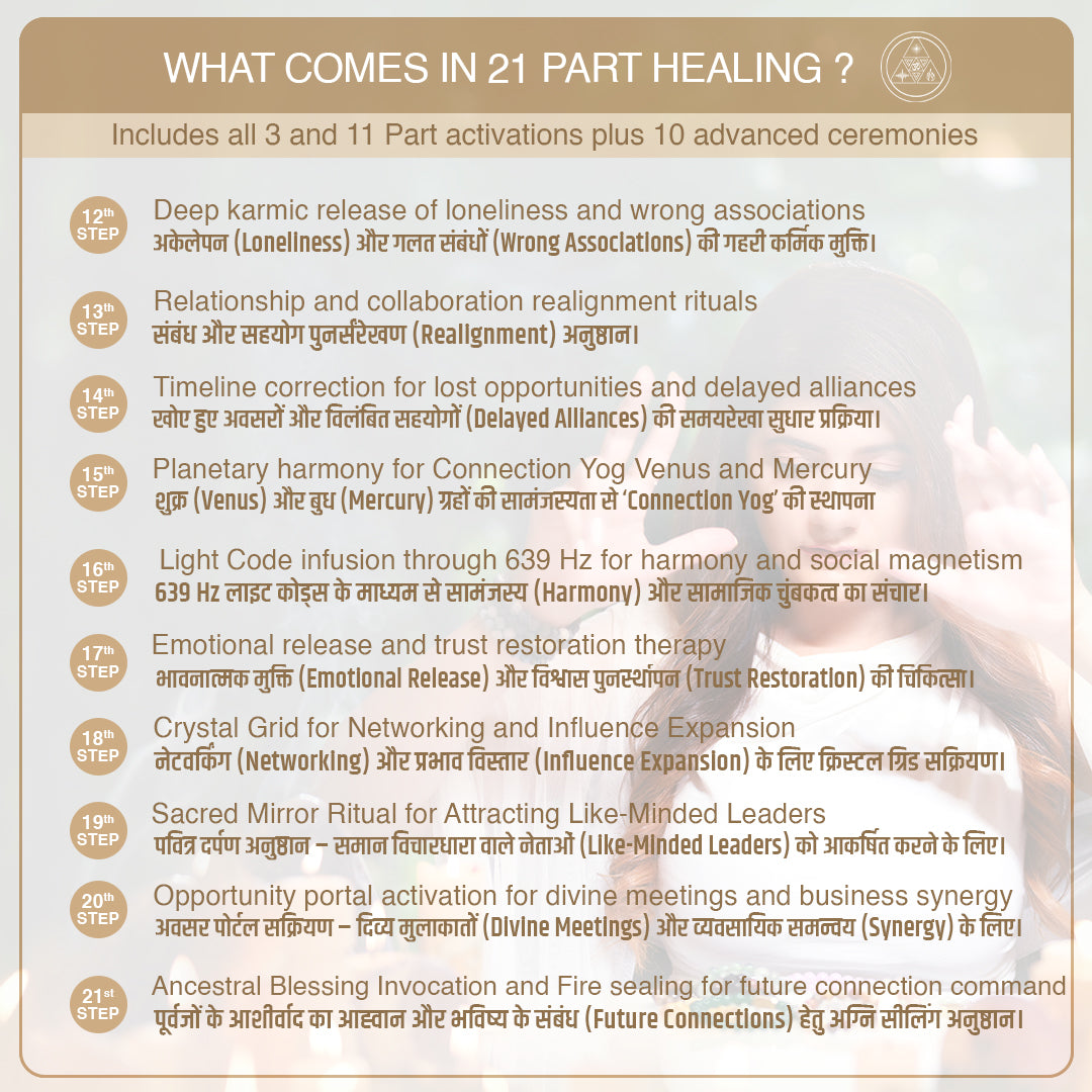 Spider Web Jasper - For Business Networking