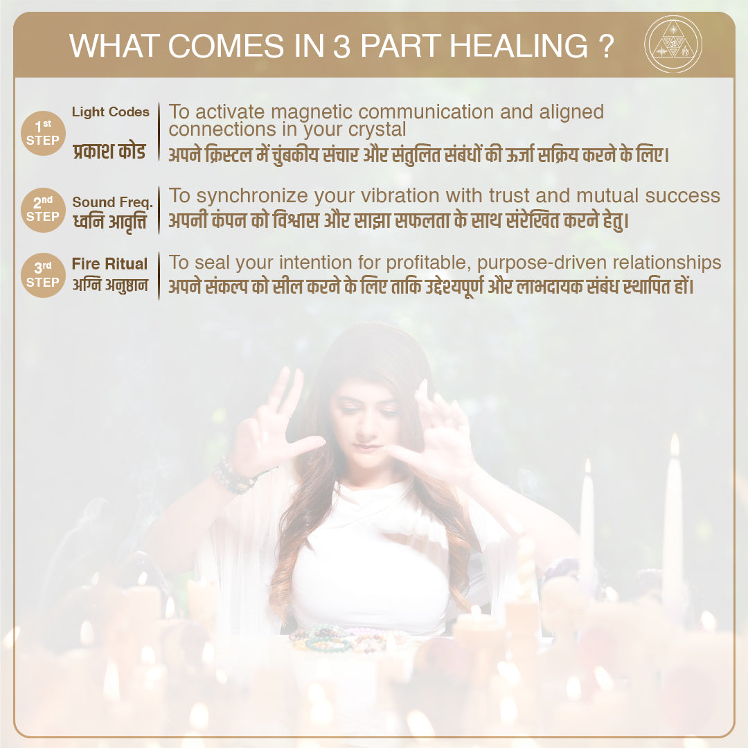 Spider Web Jasper - For Business Networking